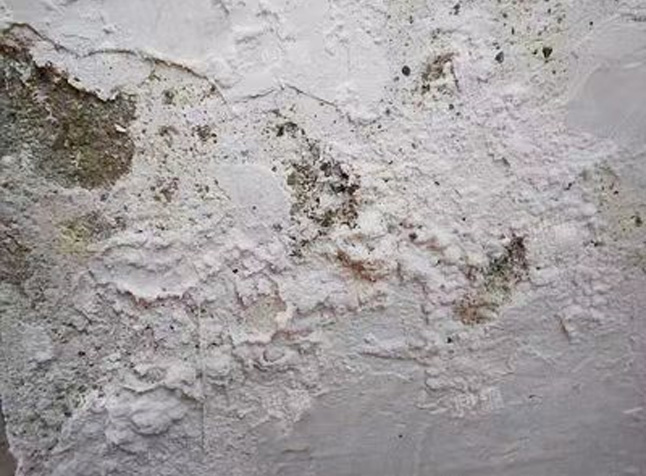 渗水漏水
